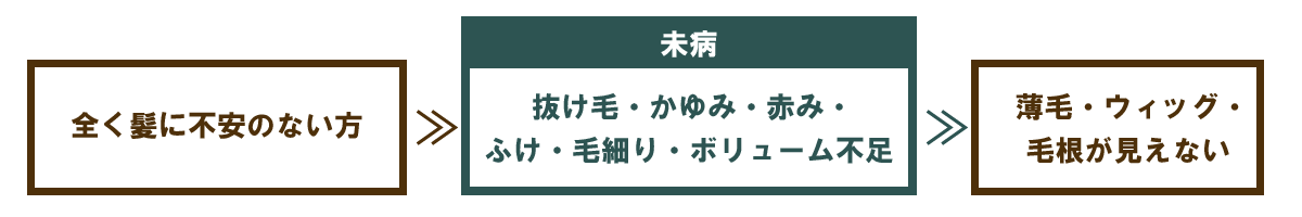 頭髪状態3段階