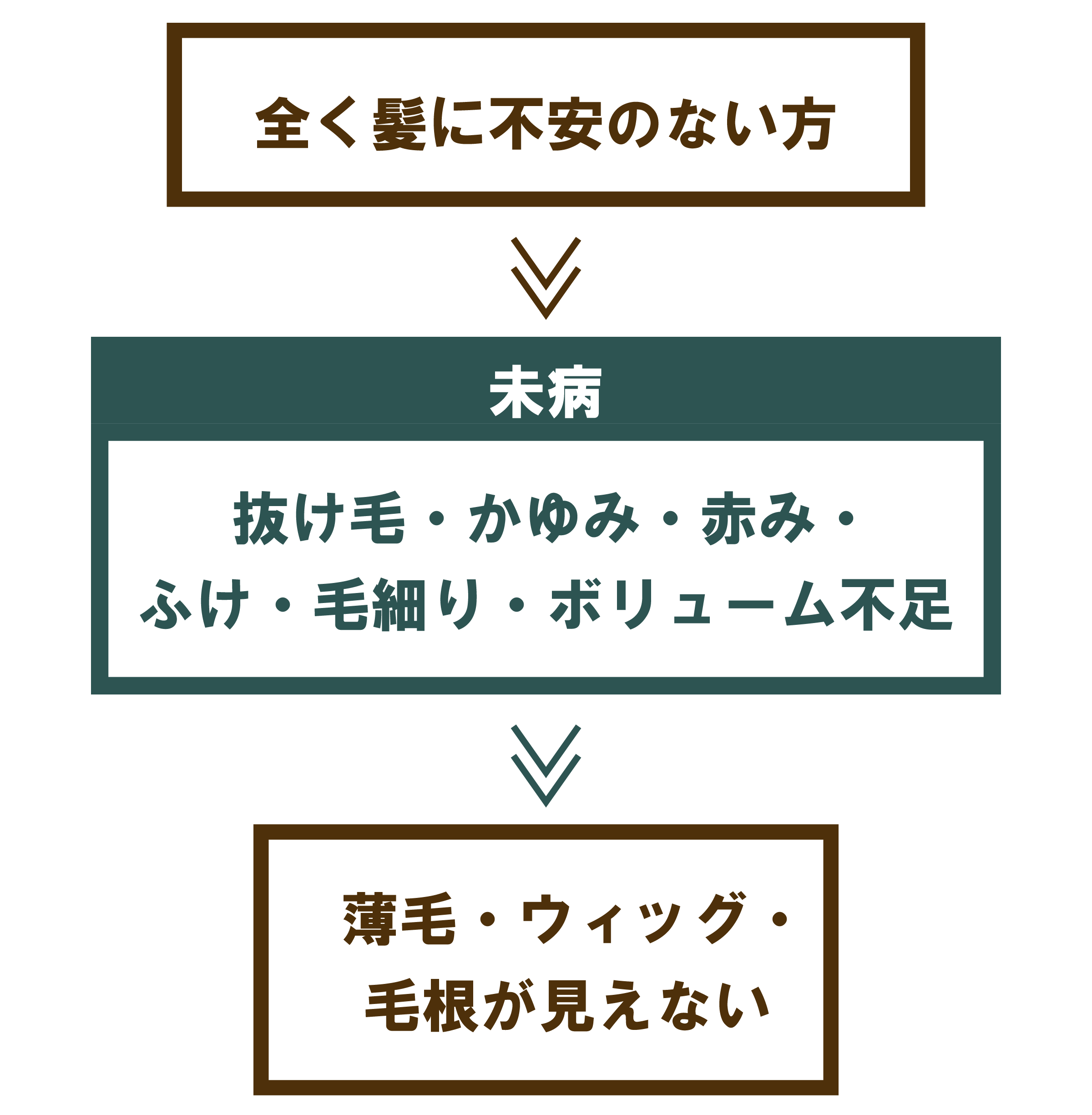 頭髪状態3段階